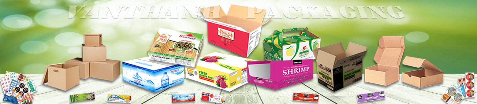 Thùng Giấy và Hộp Carton